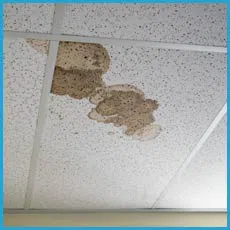 Fort Lauderdale Restoration Company Fort Lauderdale, FL 954-417-0601 Fort Lauderdale Restoration Company Fort Lauderdale, FL 954-417-0601 - water-leaks-sidebar